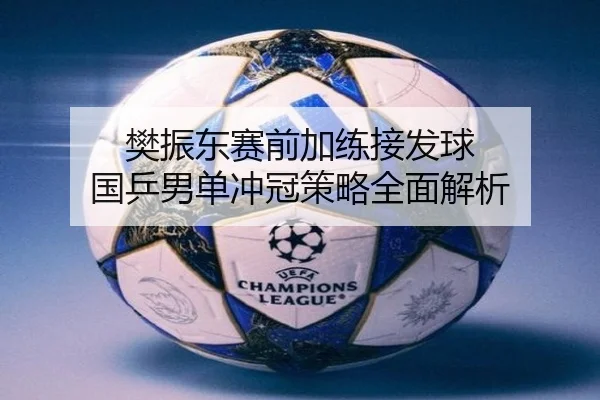 樊振东赛前加练接发球 国乒男单冲冠策略全面解析